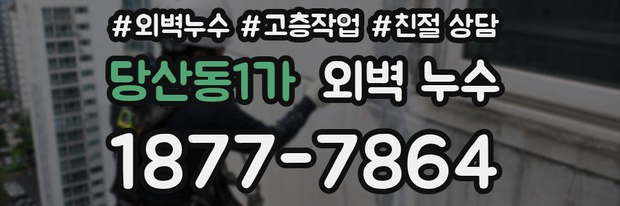 당산동1가 외벽 누수