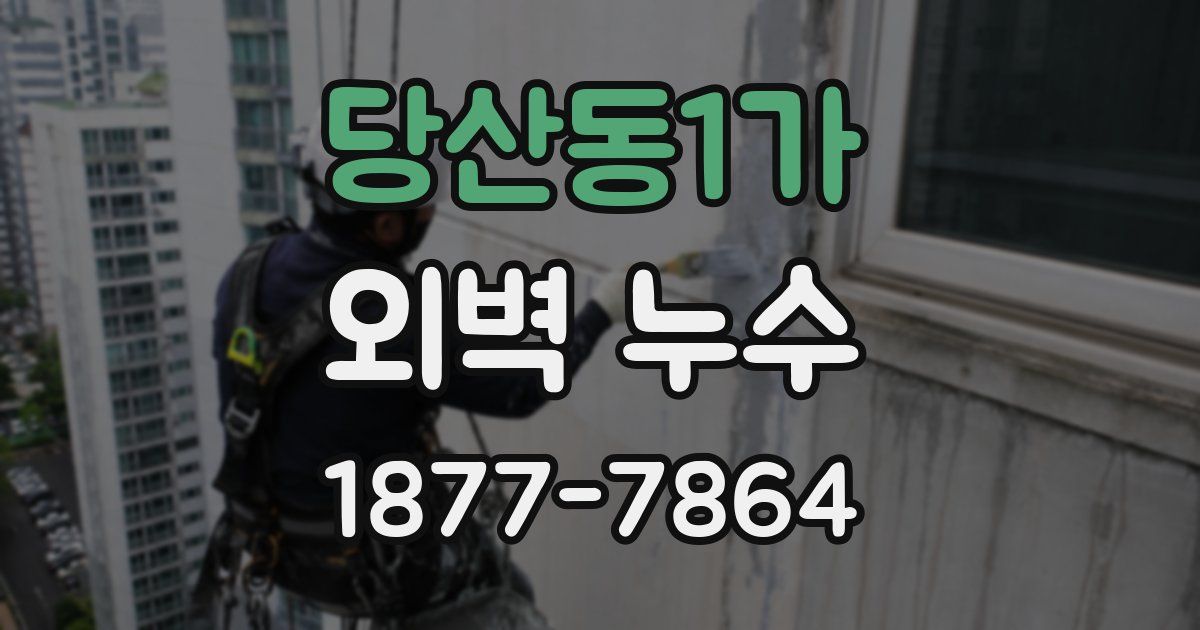 당산동1가 외벽 누수