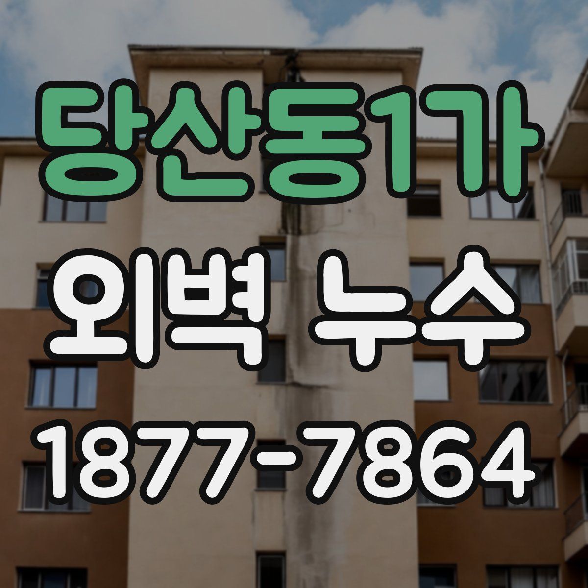 당산동1가 외벽 누수
