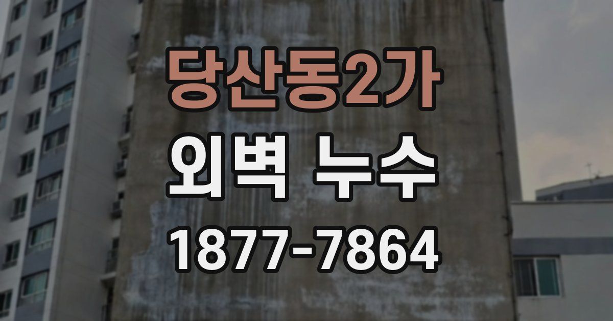 당산동2가 외벽 누수