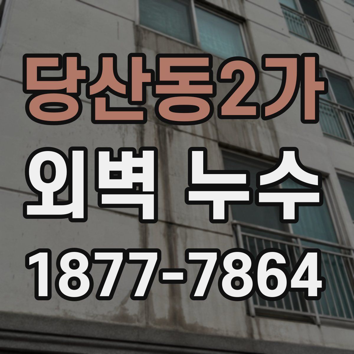 당산동2가 외벽 누수