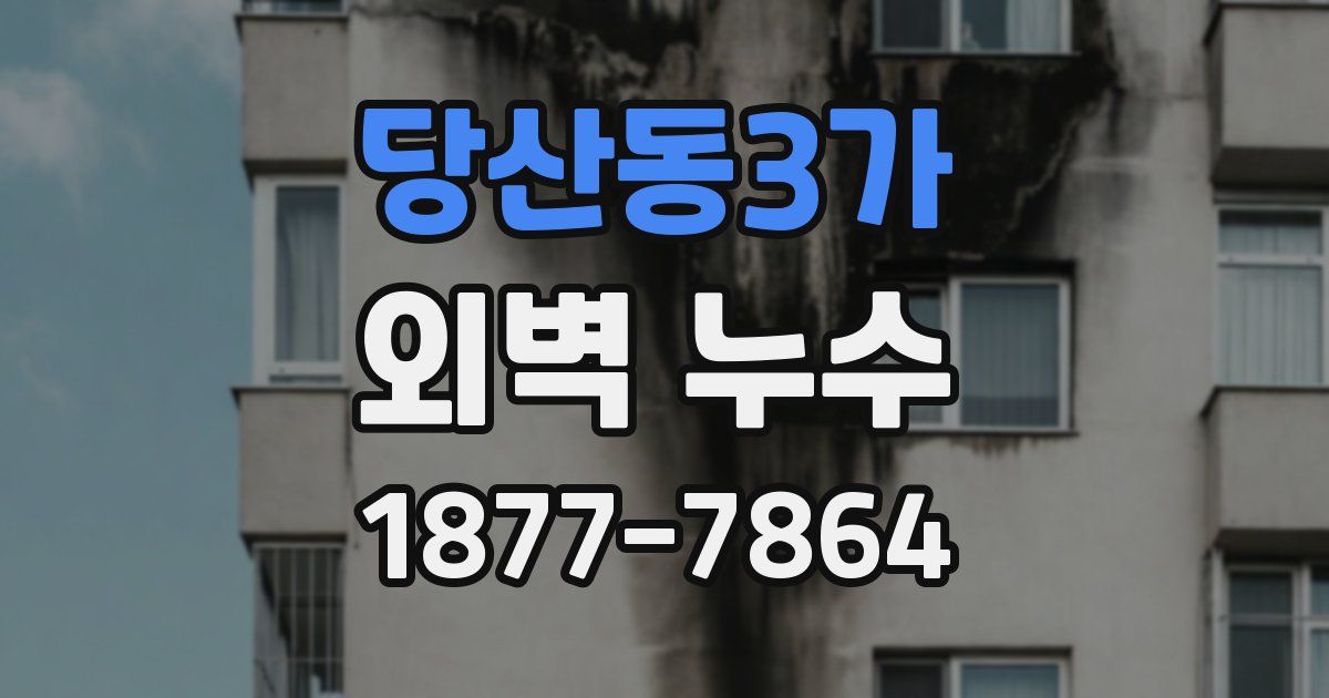 당산동3가 외벽 누수