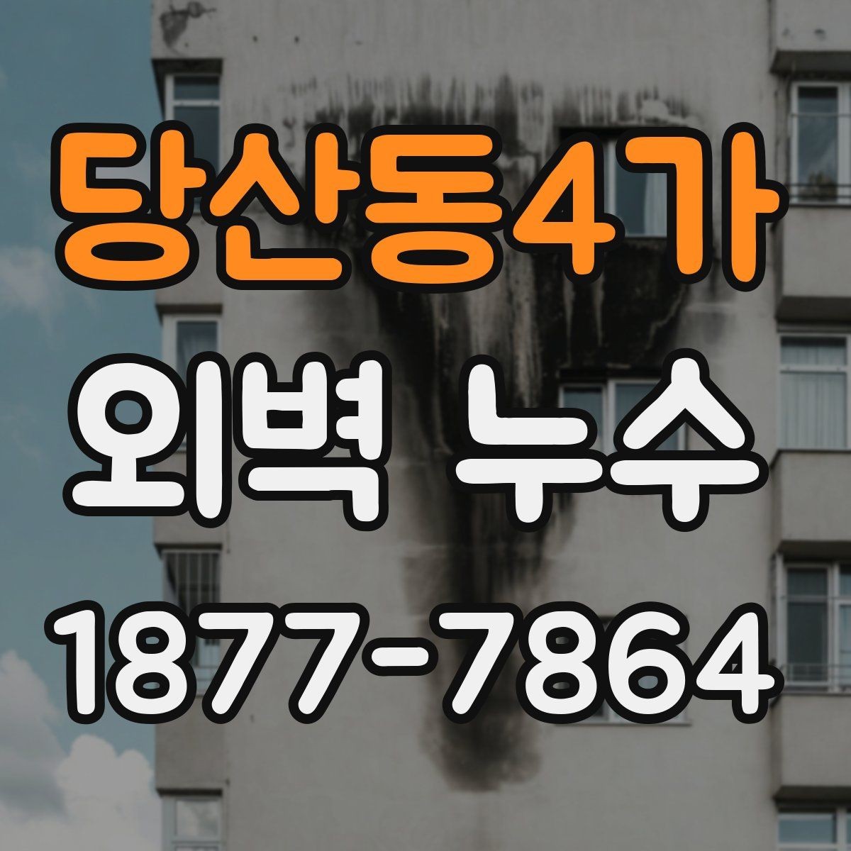 당산동4가 외벽 누수 현장 사례로 본 점검 과정