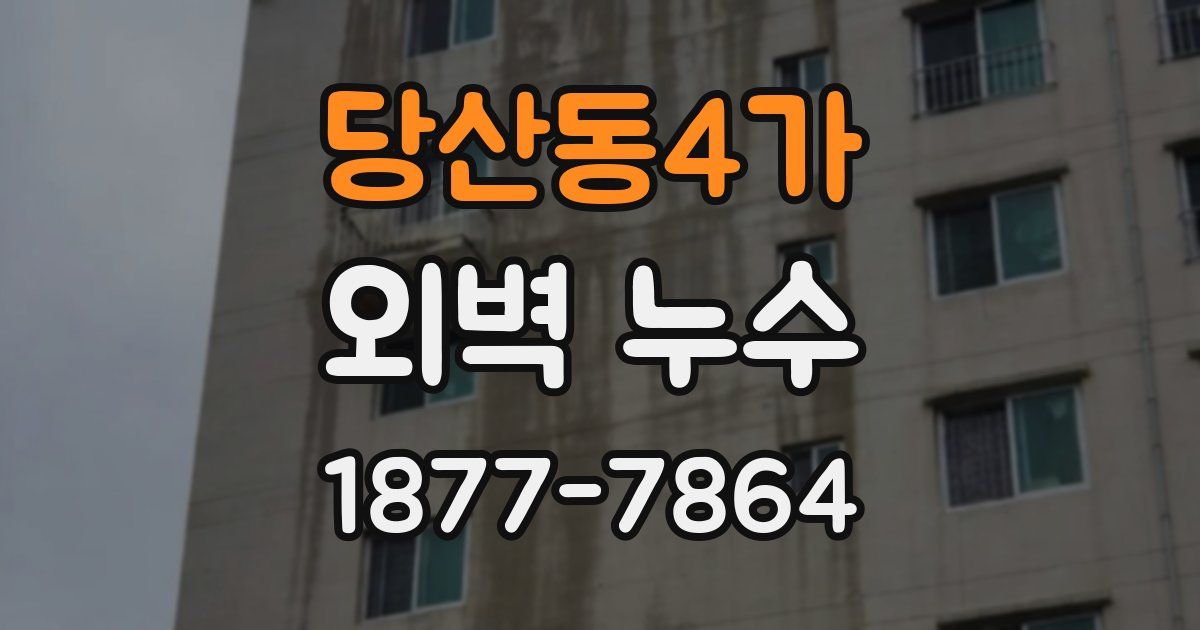 당산동4가 외벽 누수