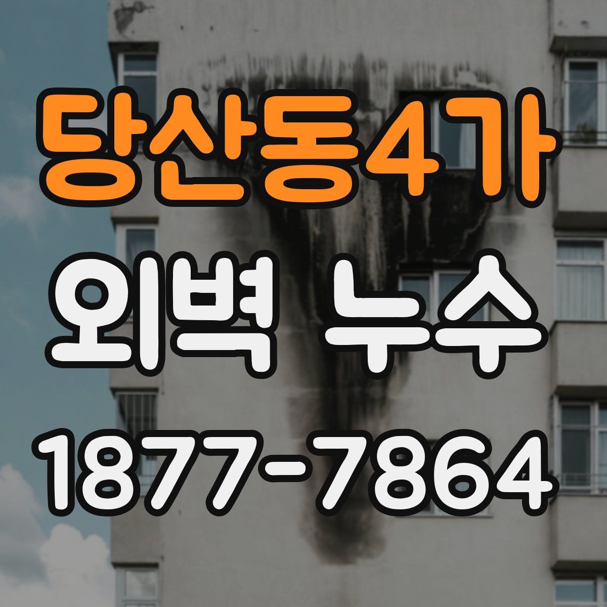 당산동4가 외벽 누수