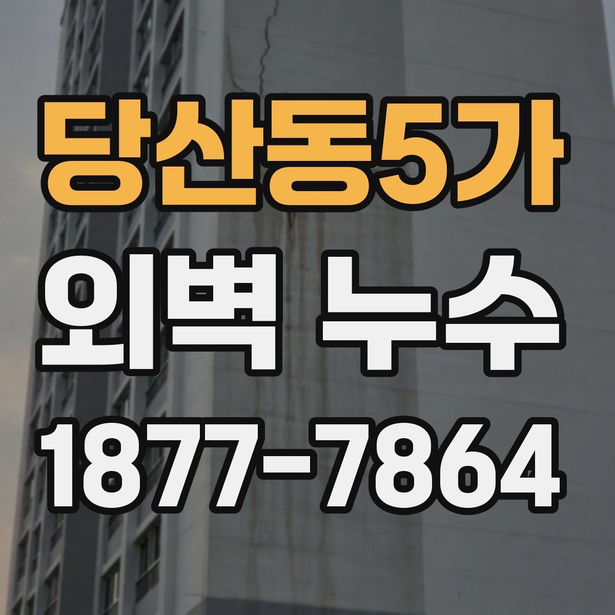 당산동5가 외벽 누수 원인에 따라 다른 진단 포인트