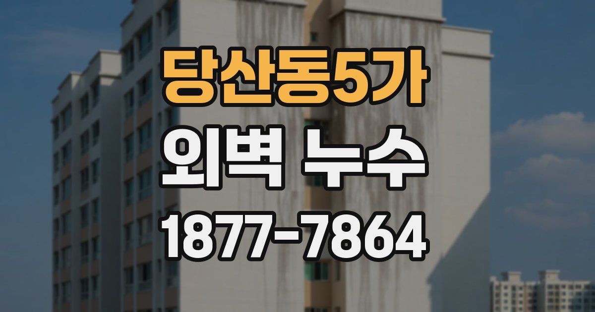 당산동5가 외벽 누수
