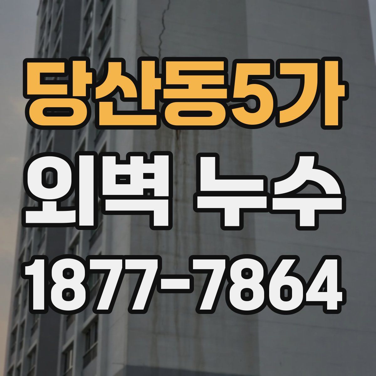 당산동5가 외벽 누수