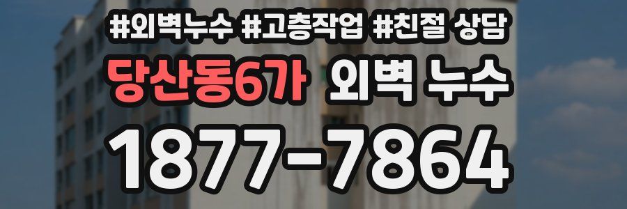 당산동6가 외벽 누수