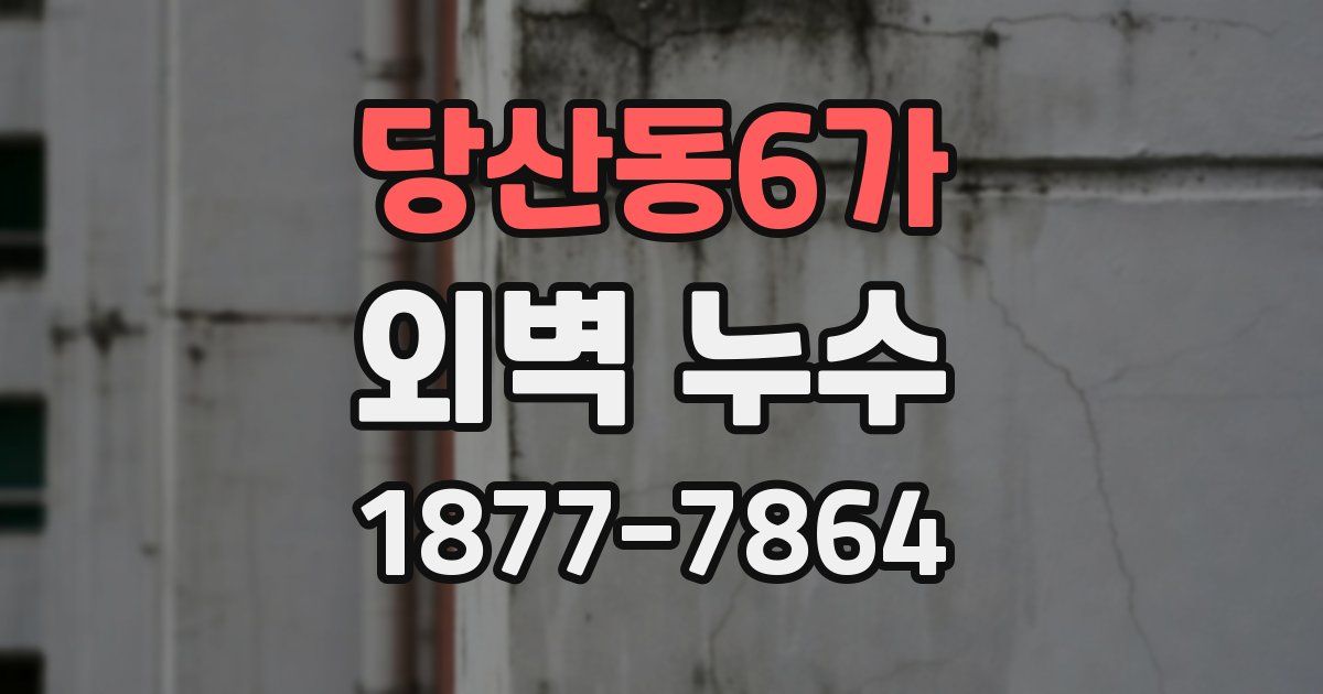 당산동6가 외벽 누수
