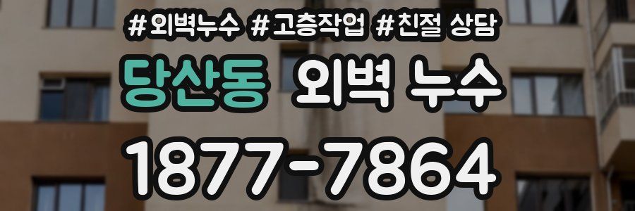 당산동 외벽 누수