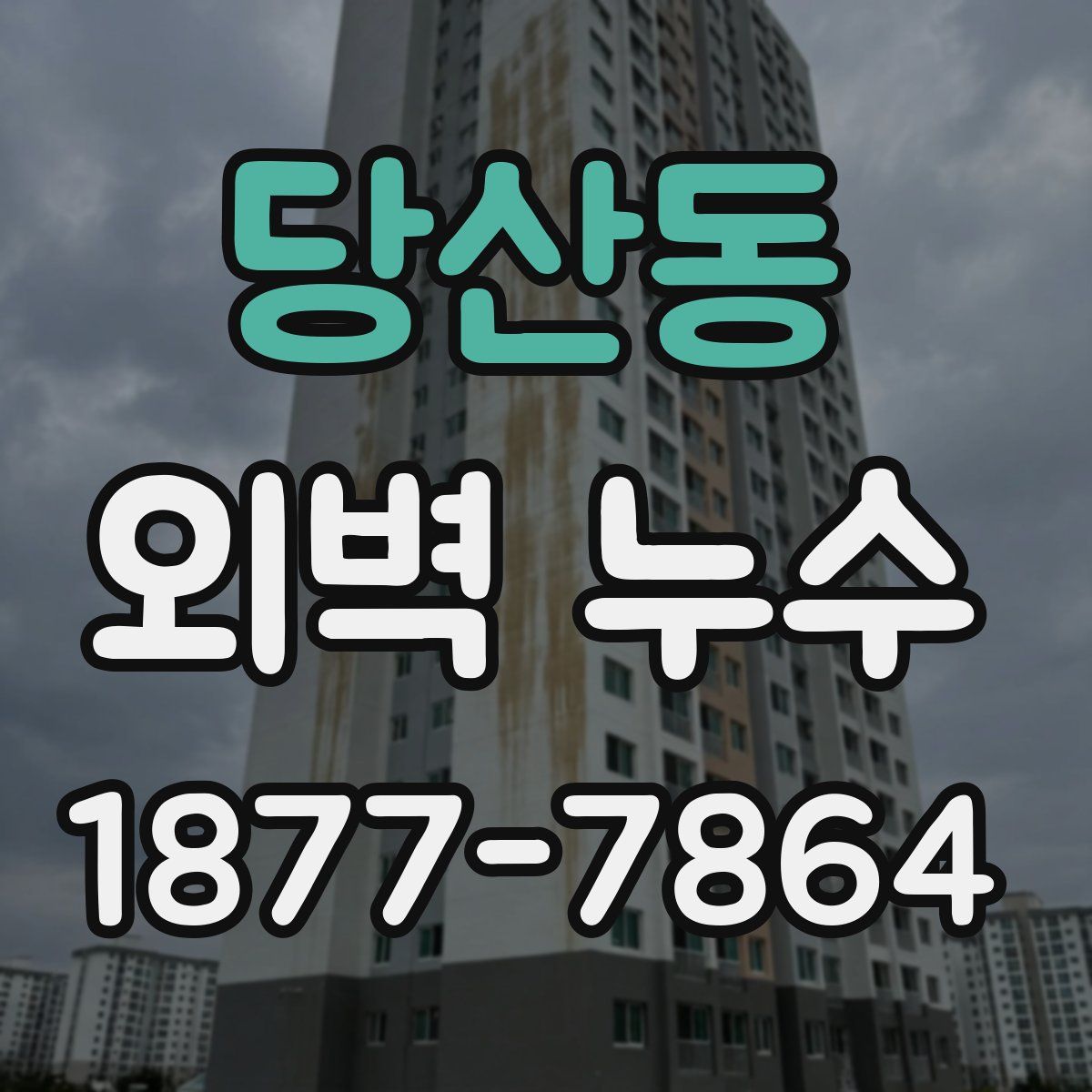 당산동 외벽 누수