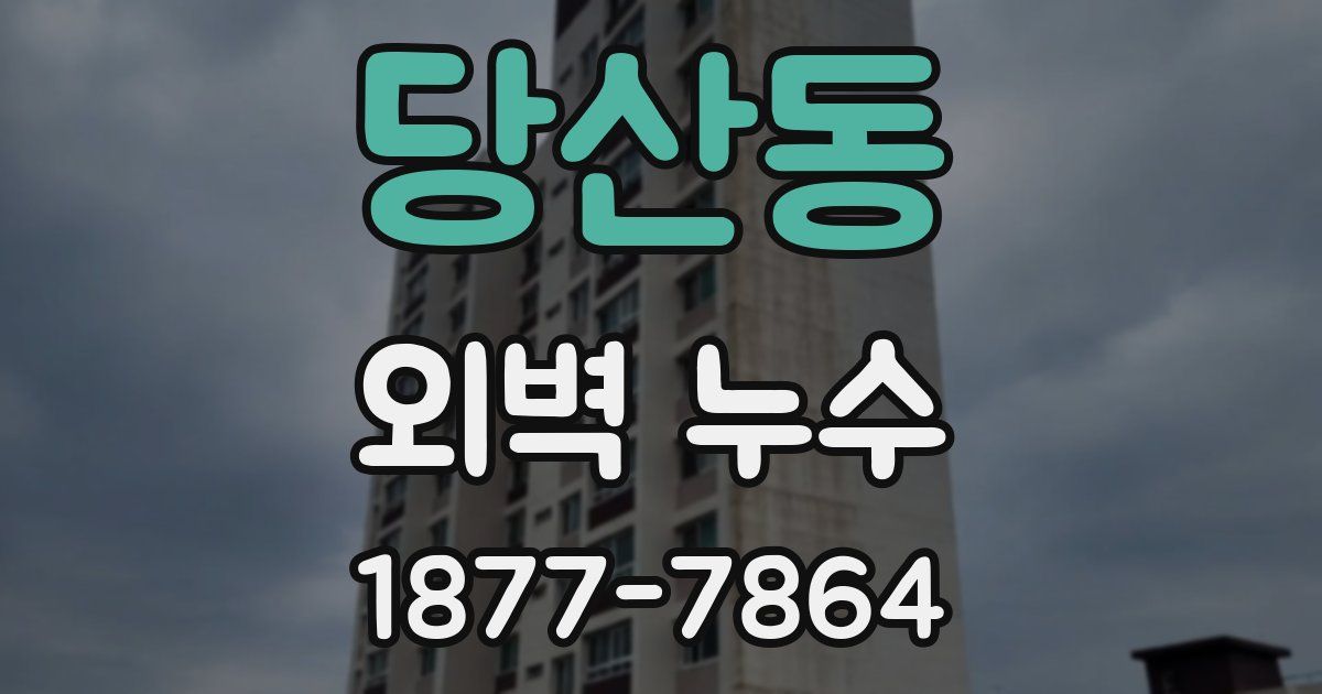 당산동 외벽 누수