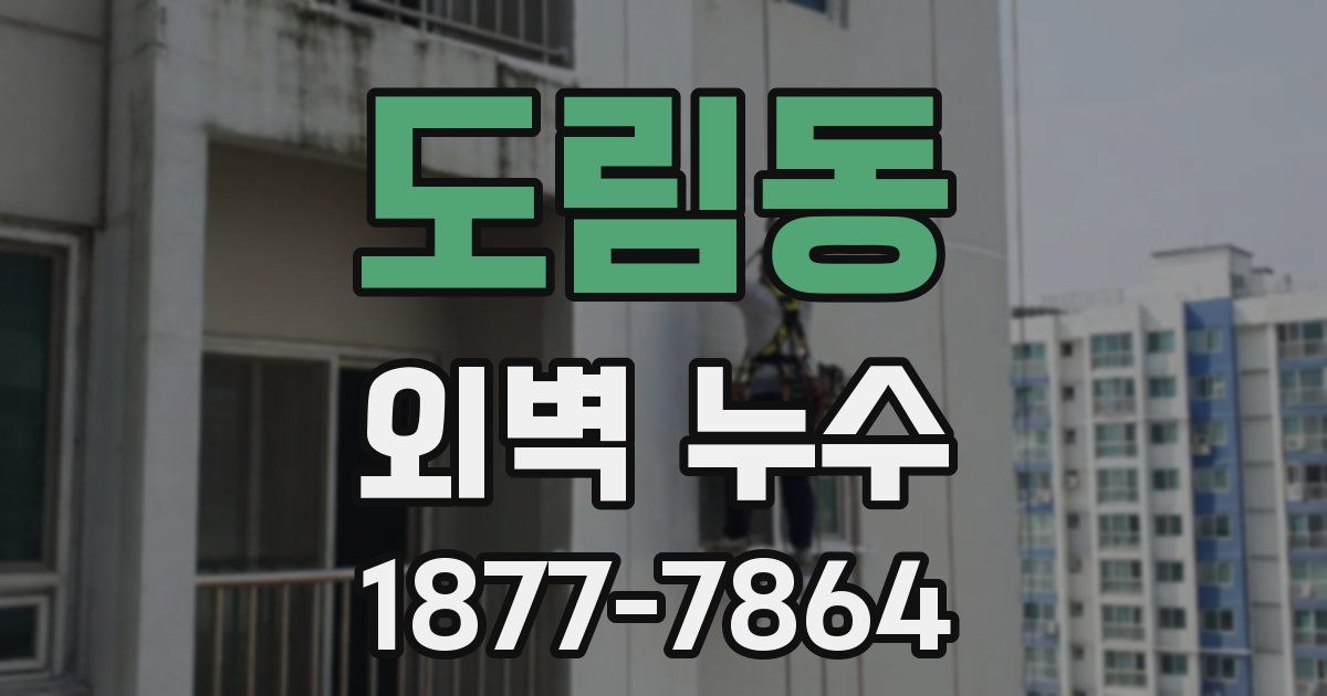 도림동 외벽 누수