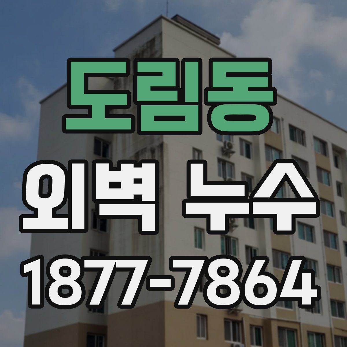 도림동 외벽 누수