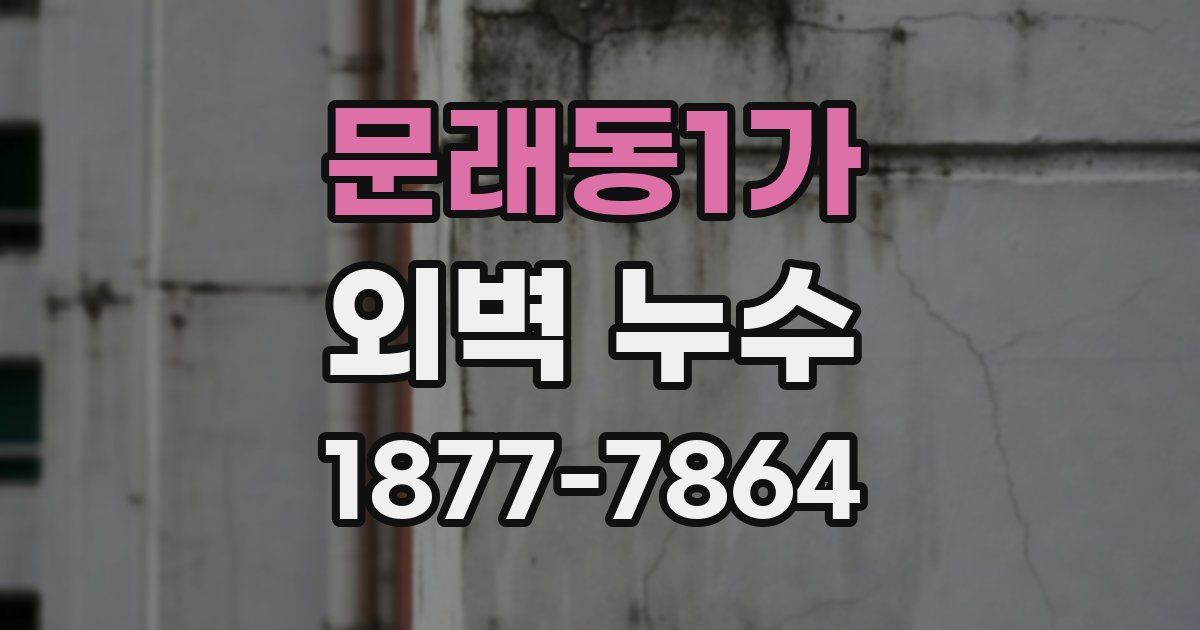 문래동1가 외벽 누수