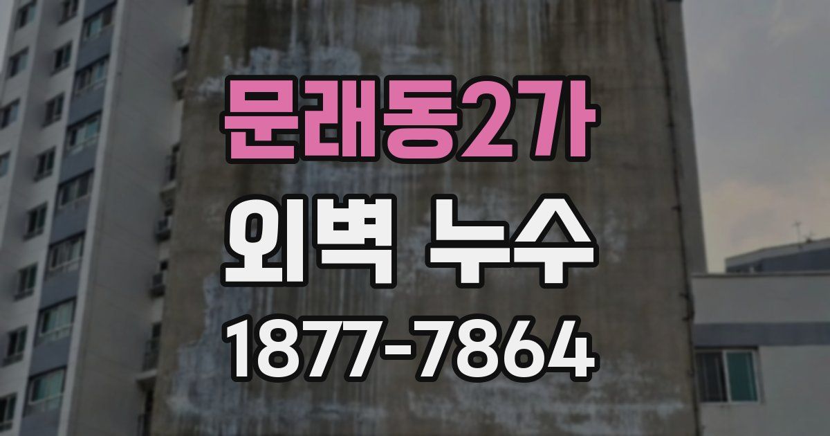 문래동2가 외벽 누수