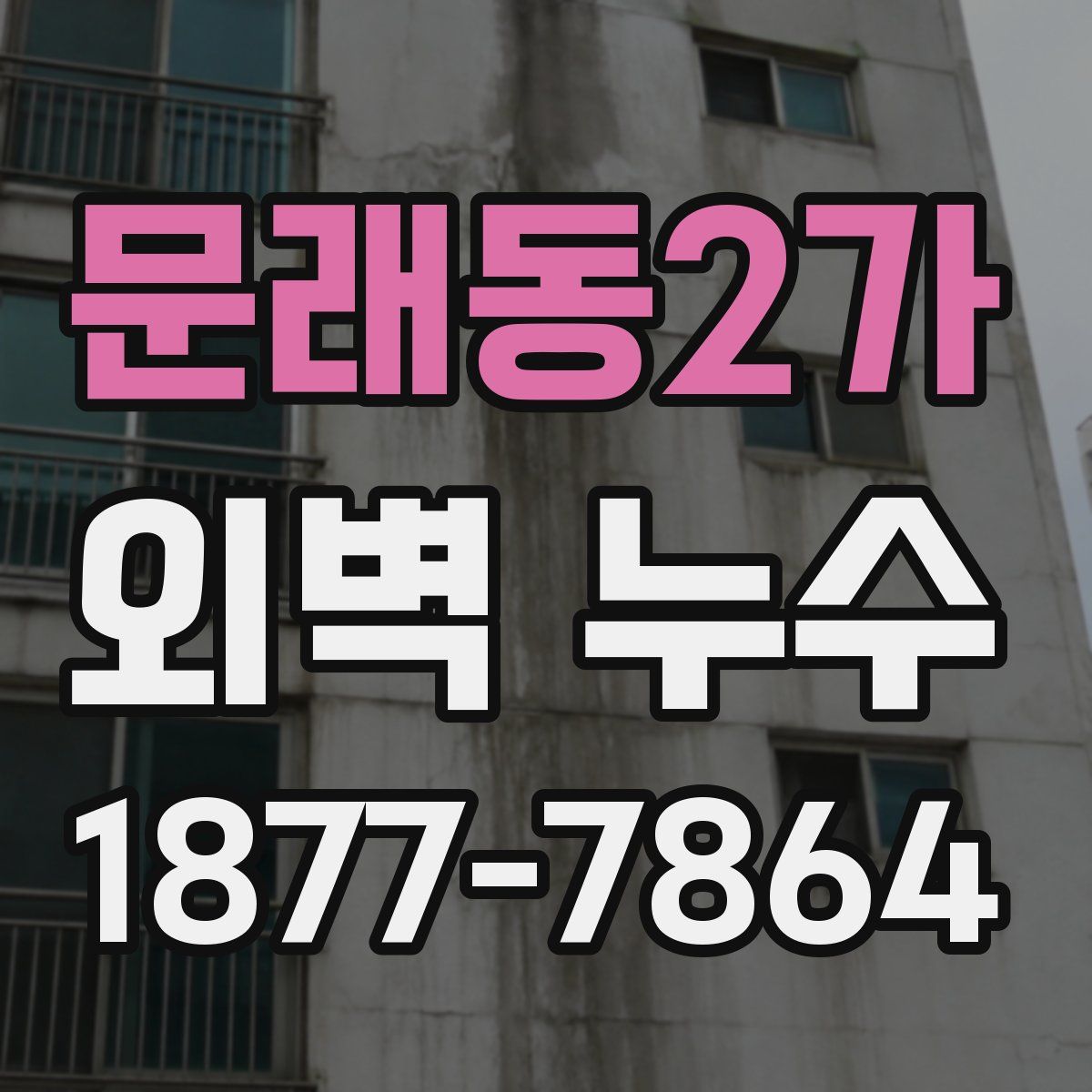 문래동2가 외벽 누수