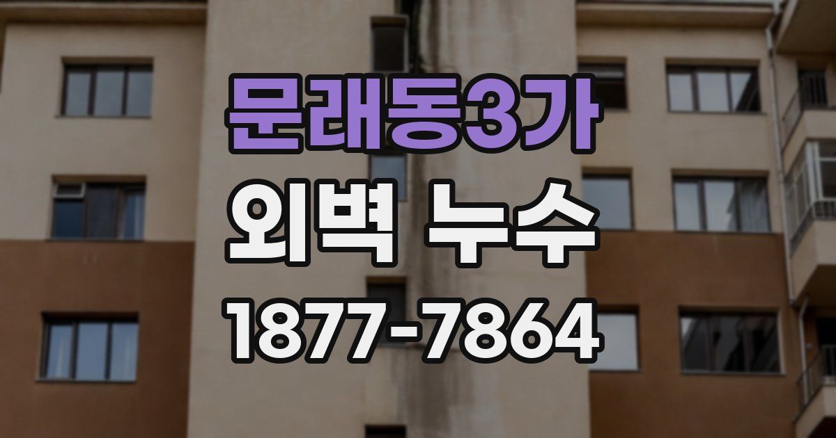 문래동3가 외벽 누수
