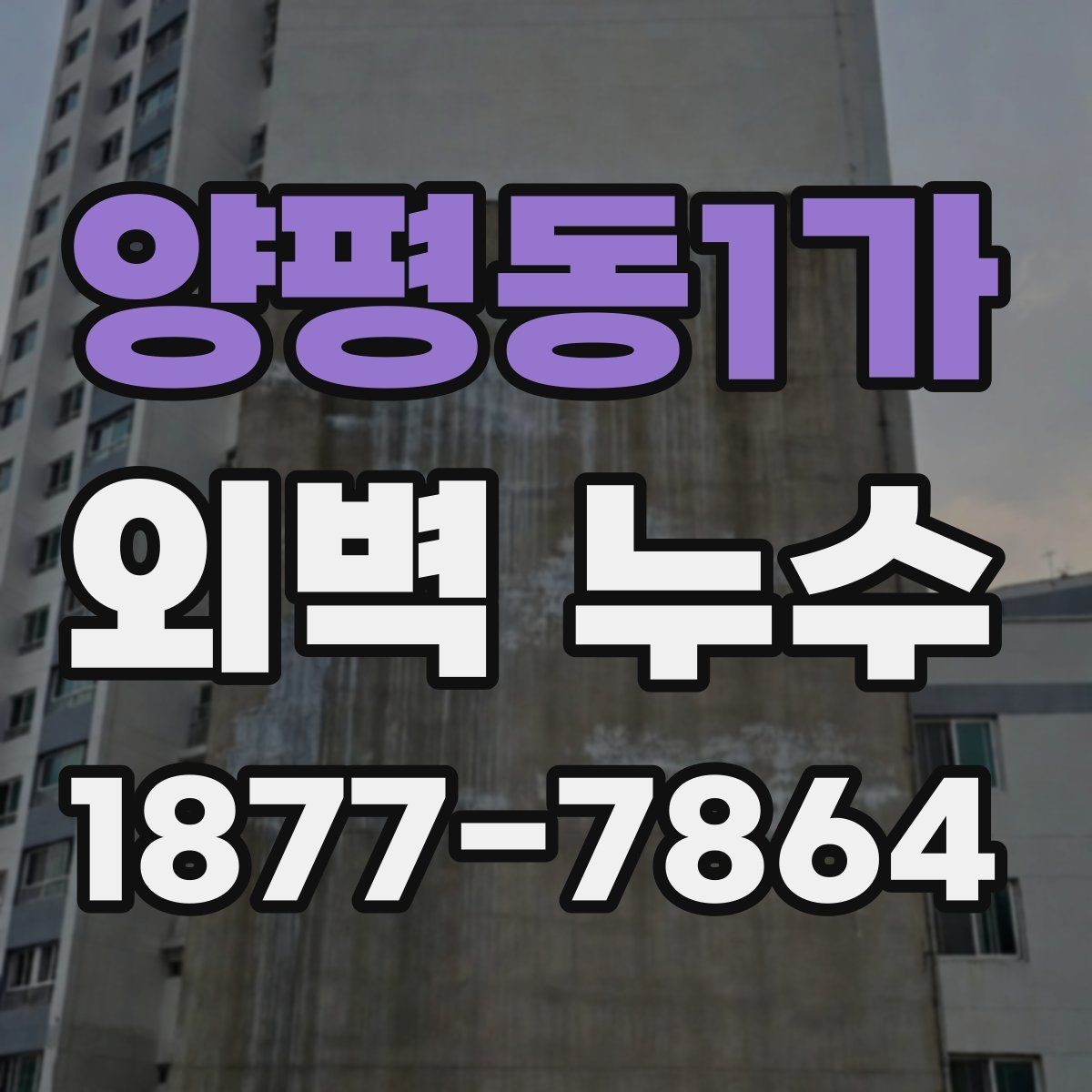 양평동1가 외벽 누수 처리 방식별 장단점 살펴보기