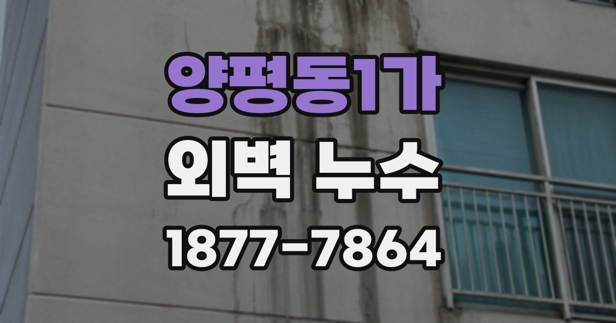 양평동1가 외벽 누수