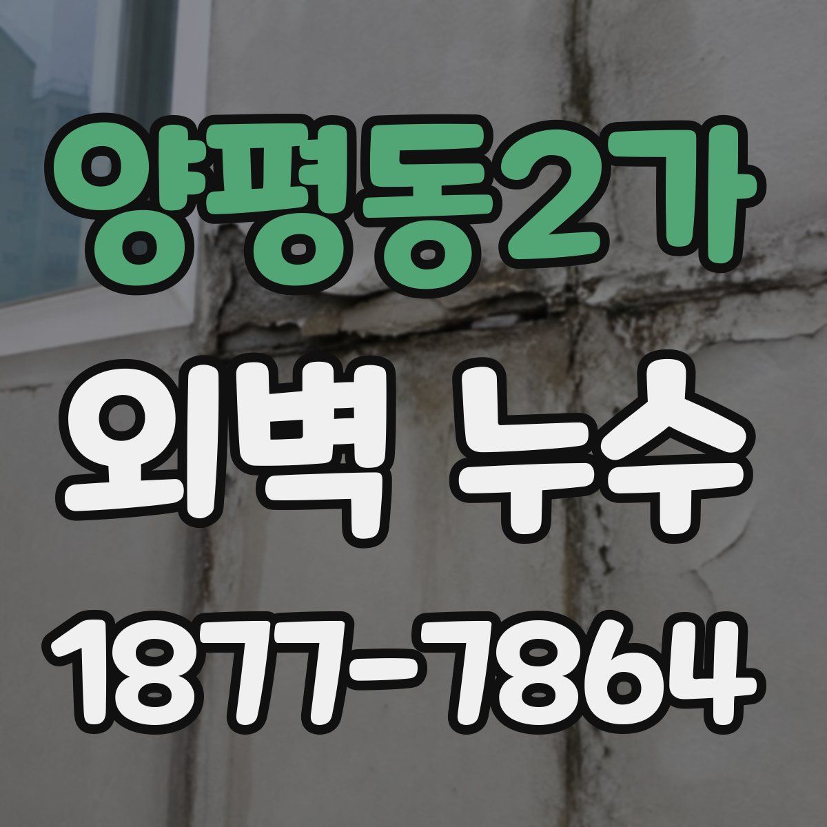 양평동2가 외벽 누수
