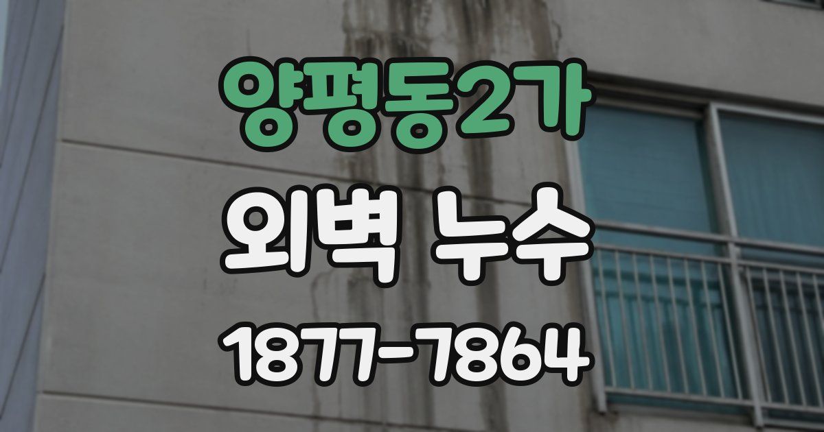 양평동2가 외벽 누수