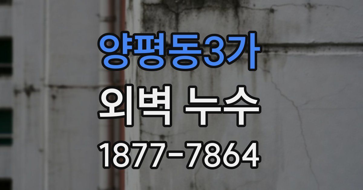 양평동3가 외벽 누수