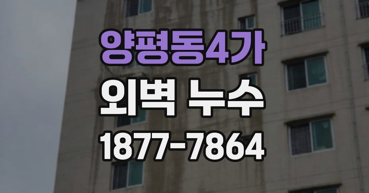 양평동4가 외벽 누수