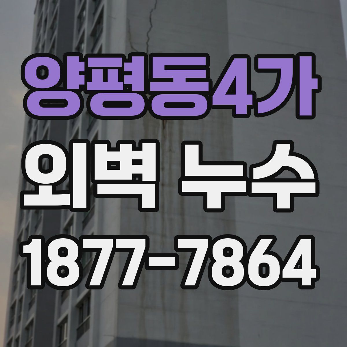 양평동4가 외벽 누수