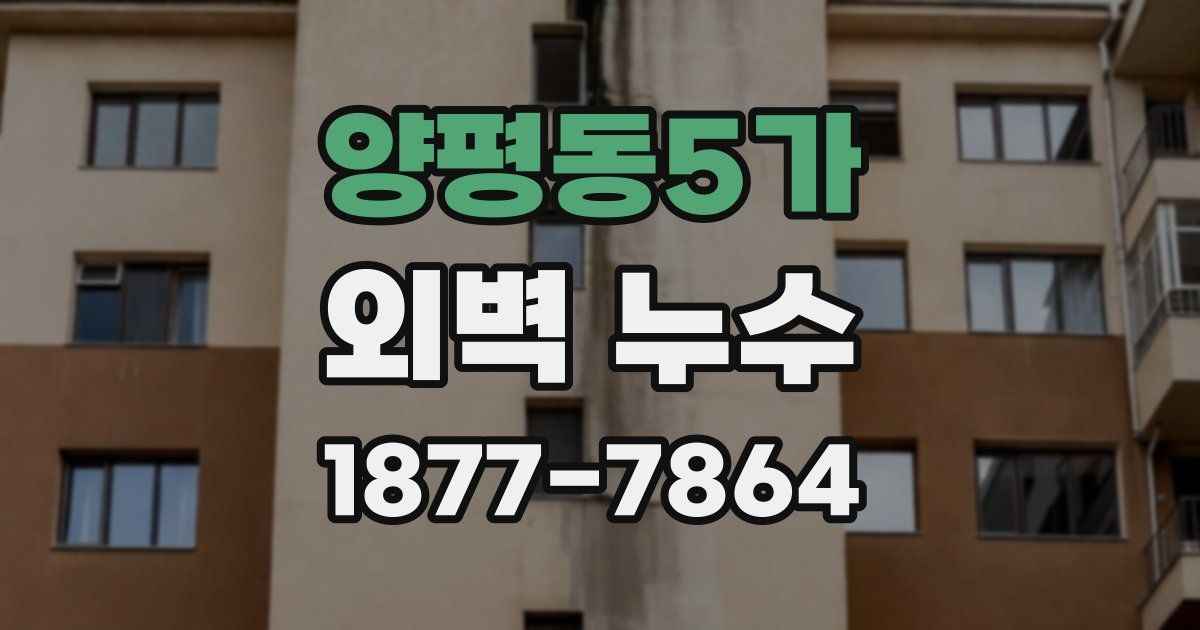 양평동5가 외벽 누수