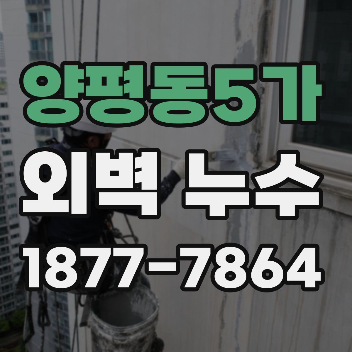 양평동5가 외벽 누수