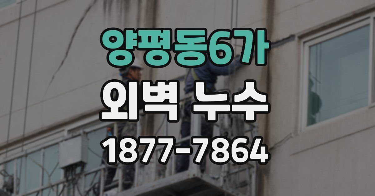 양평동6가 외벽 누수