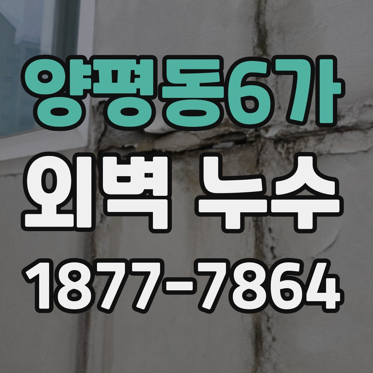 양평동6가 외벽 누수