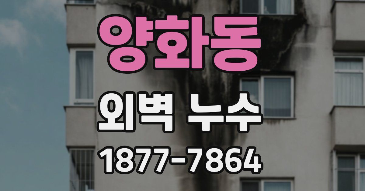 양화동 외벽 누수