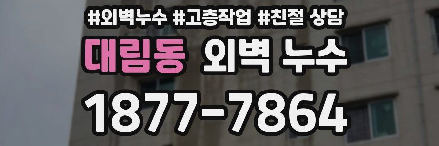 대림동 외벽 누수