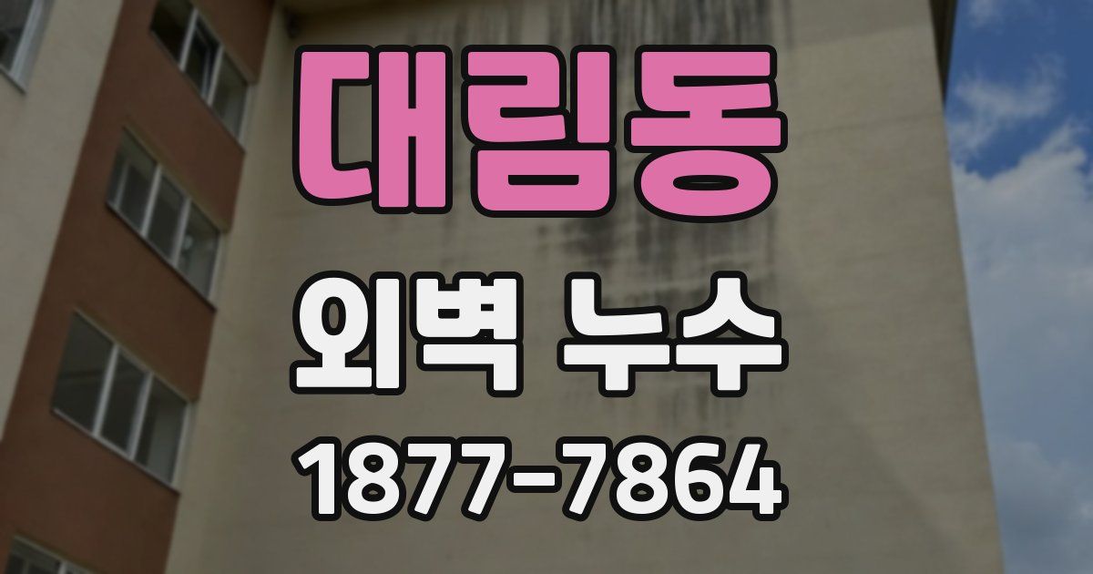 대림동 외벽 누수