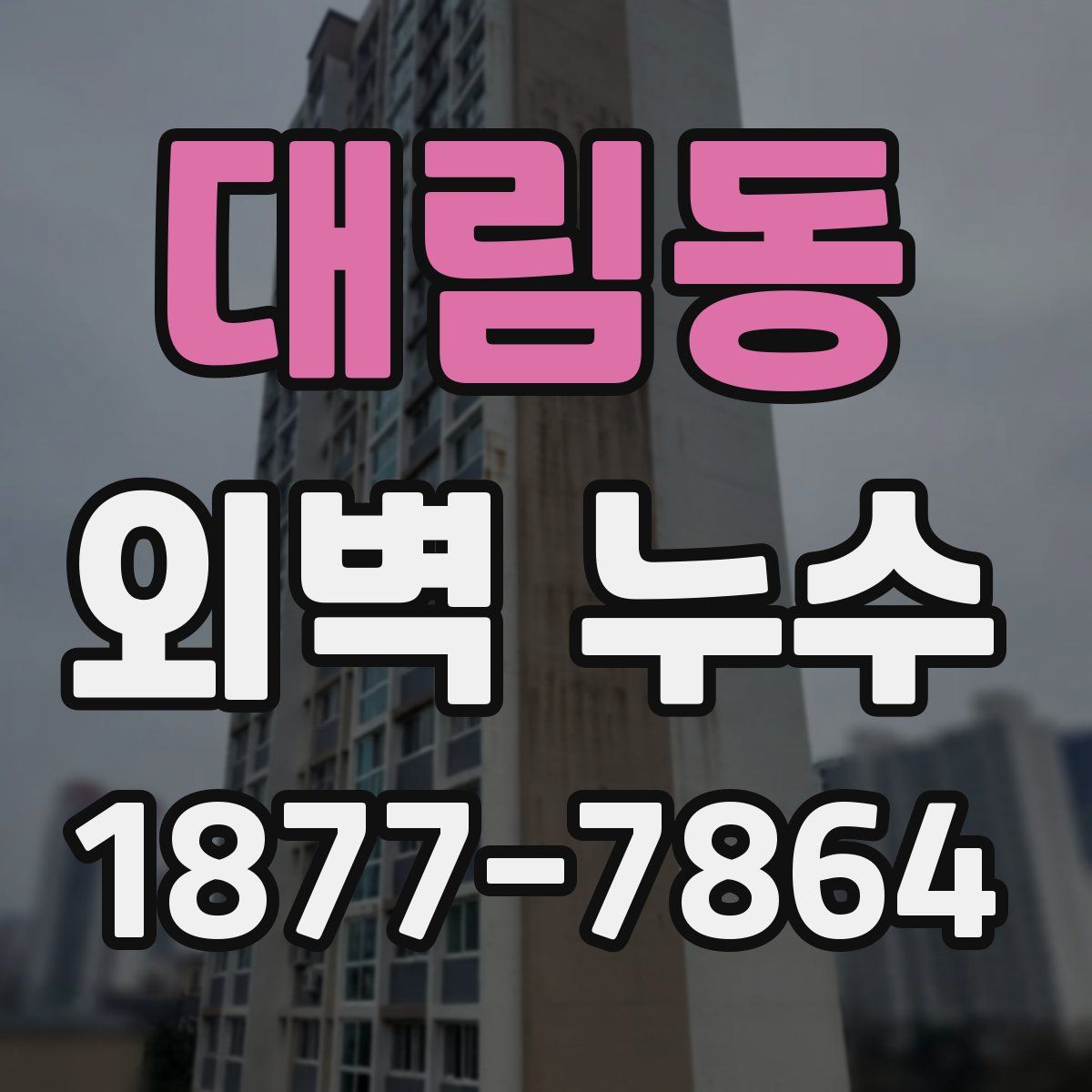 대림동 외벽 누수