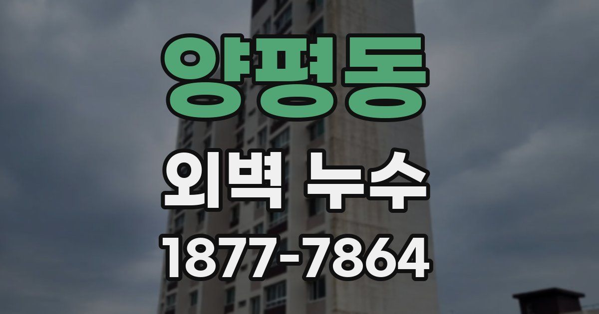 양평동 외벽 누수