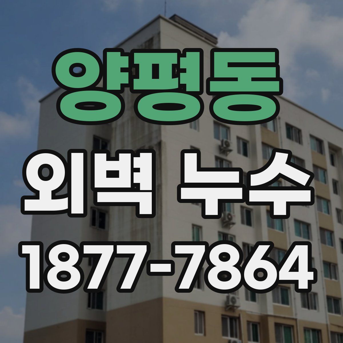 양평동 외벽 누수