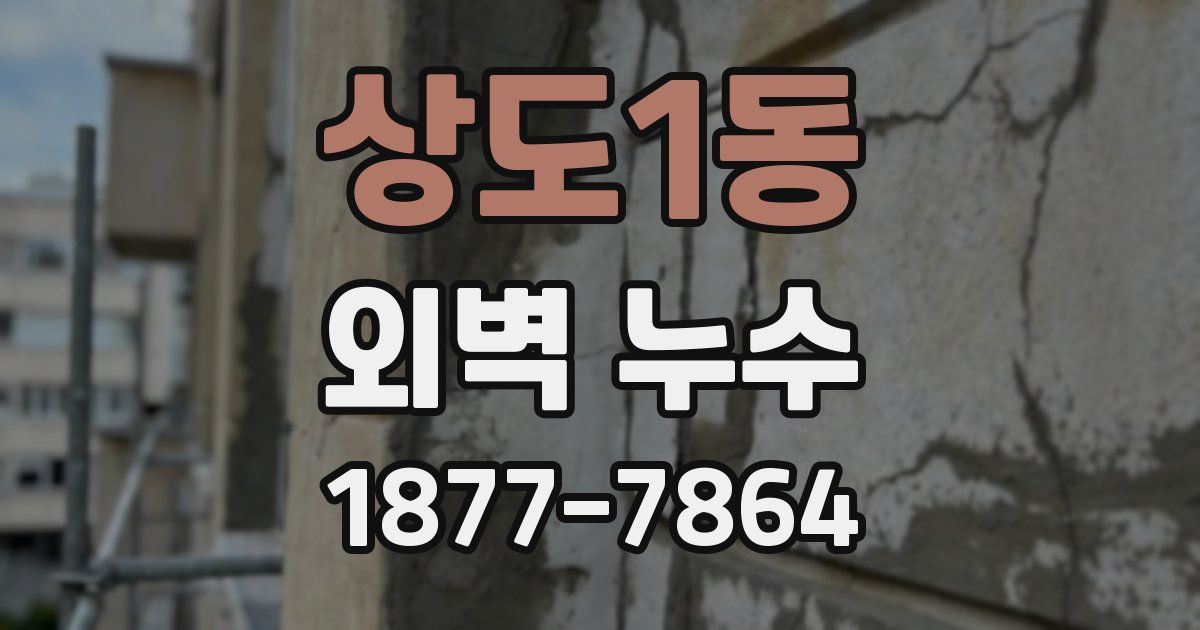 상도1동 외벽 누수
