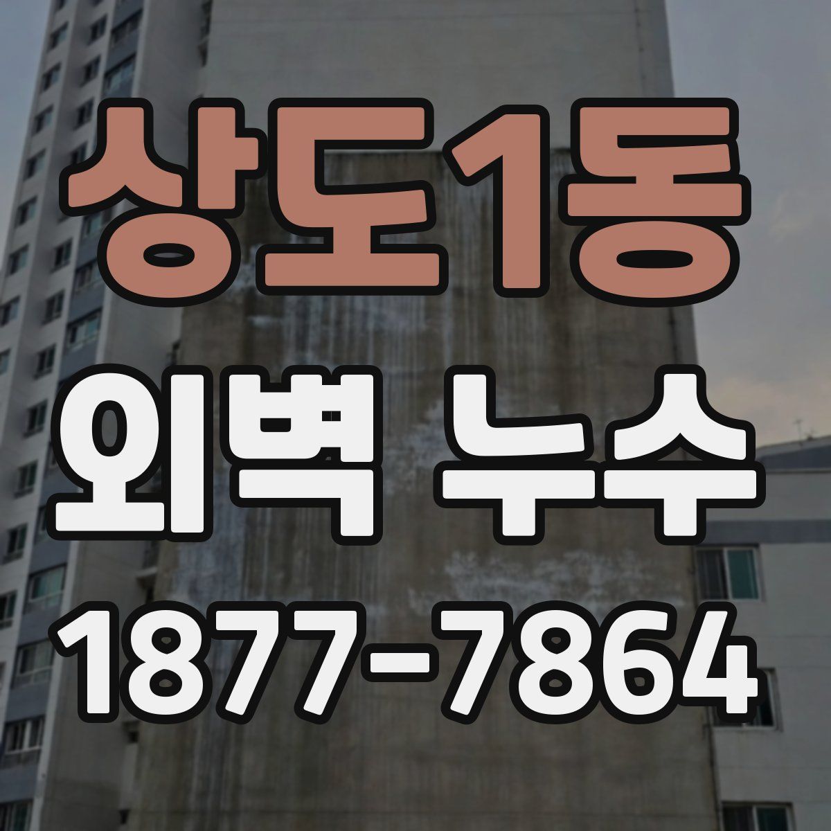 상도1동 외벽 누수