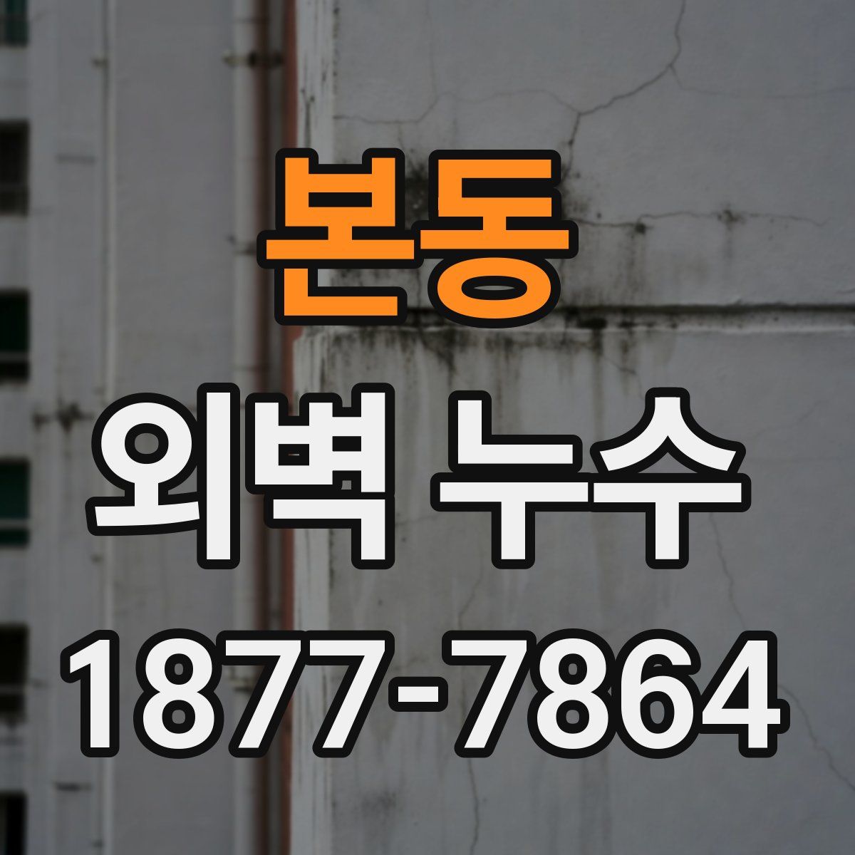본동 외벽 누수