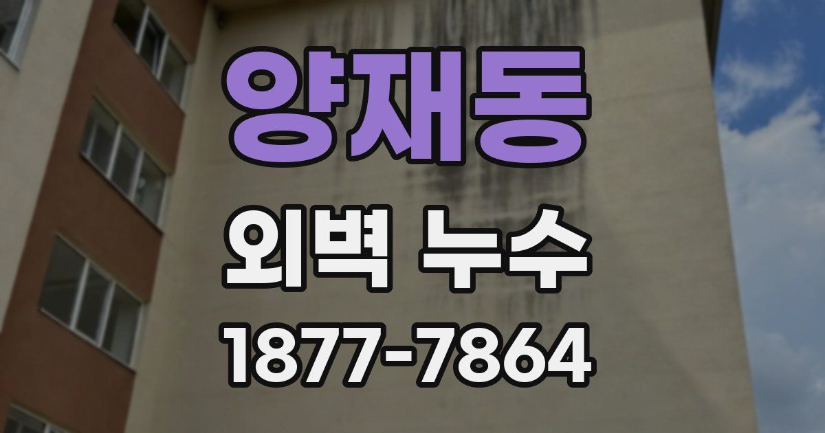 양재동 외벽 누수