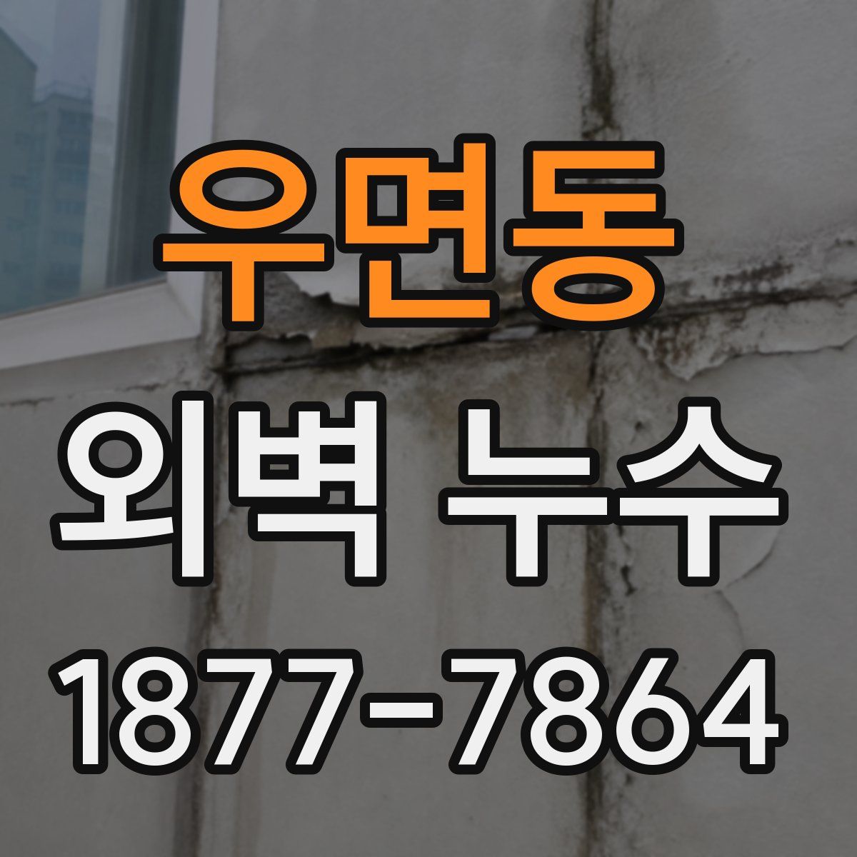 우면동 외벽 누수