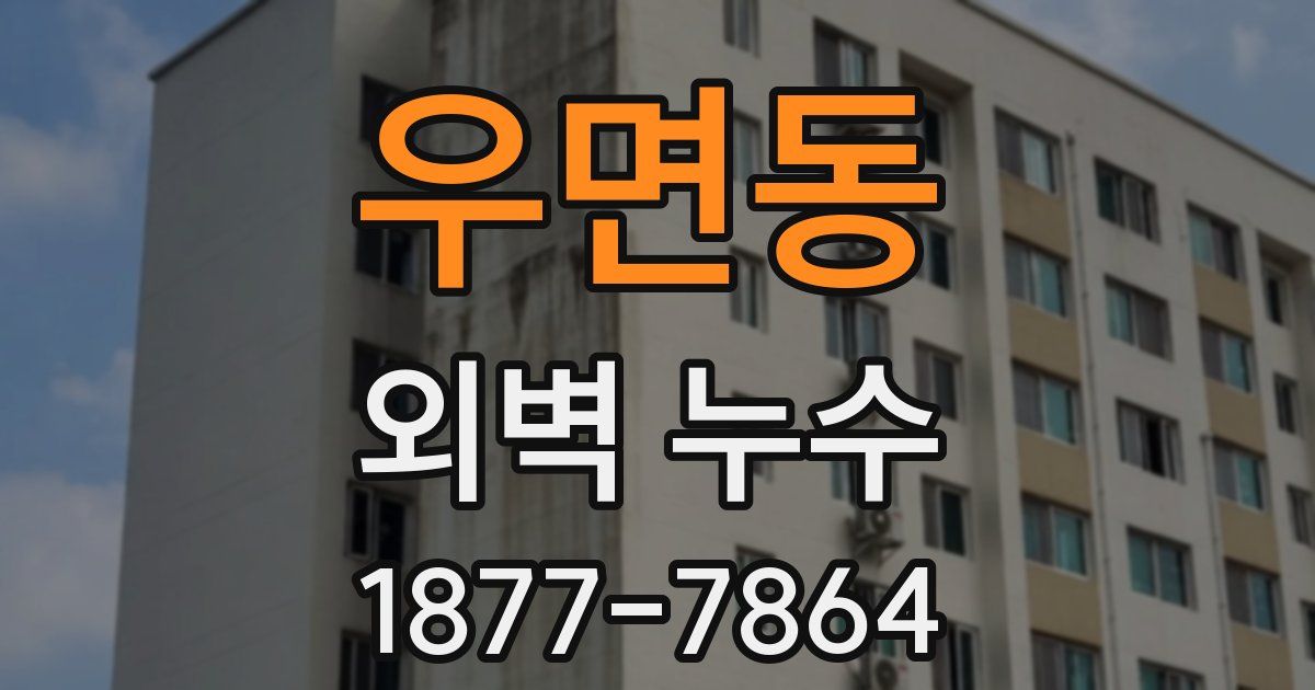 우면동 외벽 누수