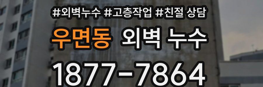 우면동 외벽 누수