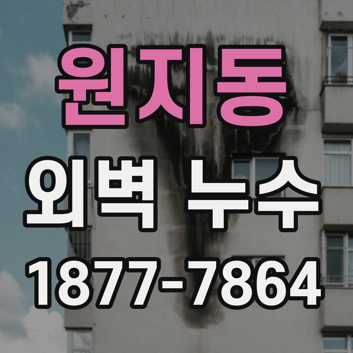 원지동 외벽 누수 의심 시 공사 전 비교해야 할 점