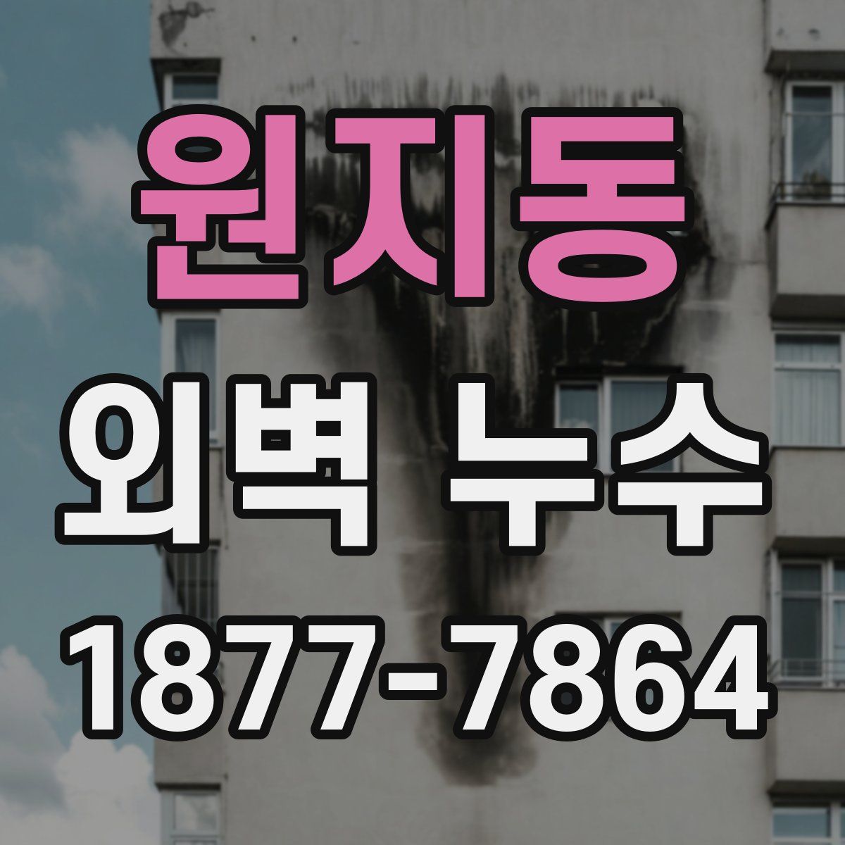 원지동 외벽 누수