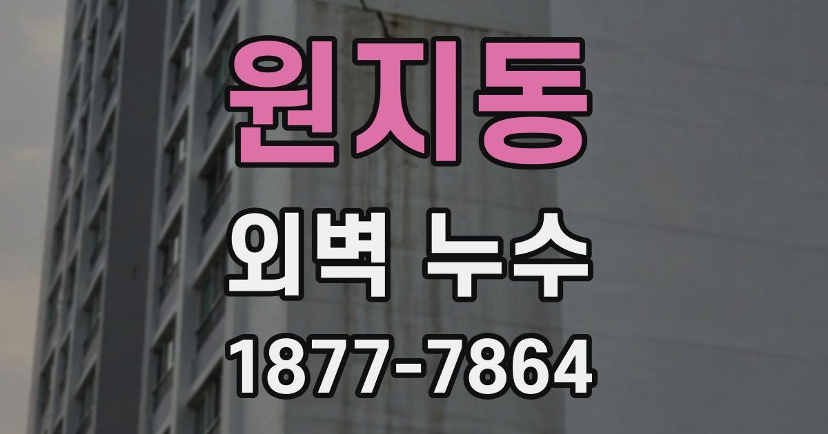 원지동 외벽 누수